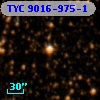 TYC 9016-975-1