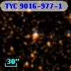 TYC 9016-977-1