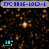 TYC 9016-1013-1