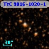 TYC 9016-1020-1
