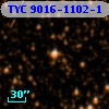 TYC 9016-1102-1