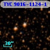 TYC 9016-1124-1