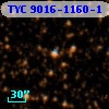 TYC 9016-1160-1