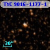 TYC 9016-1177-1