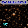 TYC 9016-1247-1