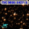 TYC 9016-1427-1