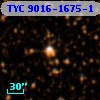 TYC 9016-1675-1