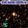 TYC 9016-1929-1