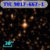 TYC 9017-667-1
