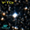V* T Cir