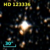 HD 123336
