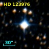 HD 123976