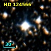 HD 124566