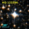 HD 123394