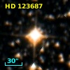HD 123687