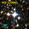HD 123061
