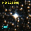 HD 123895