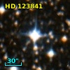HD 123841
