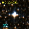 HD 124031