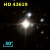HD  43619