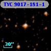 TYC 9017-181-1