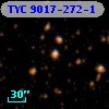 TYC 9017-272-1