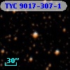 TYC 9017-307-1