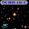 TYC 9018-116-1
