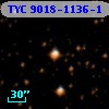 TYC 9018-1136-1