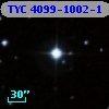 TYC 4099-1002-1