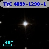 TYC 4099-1290-1