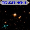 TYC 9267-460-1