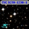 TYC 9270-1230-1