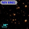 NSV  6865