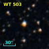 WT  503