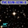 TYC 9270-1236-1