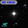 HD  43036