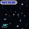 NSV  8530