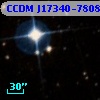 CCDM J17340-7808C