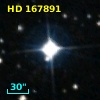 HD 167891