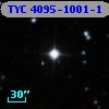 TYC 4095-1001-1