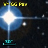 V* GG Pav