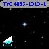 TYC 4095-1313-1