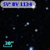 SV* BV  1134