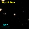 V* IP Pav
