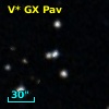 V* GX Pav