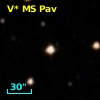 V* MS Pav