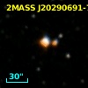 2MASS J20290691-7421121