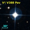 V* V388 Pav