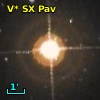 V* SX Pav